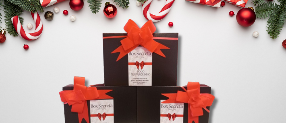Box Secretas: O Presente Surpreendente e Apaixonante deste Natal Box Secretas: O Presente Surpreendente e Apaixonante deste Natal
